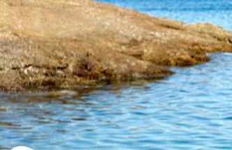 Les cabanes d'Anima - Suite Verveine - 30m from beach - Foto 28