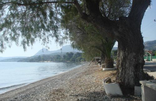 Σοφίτα Μαρτά - Foto 47