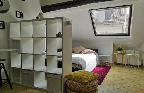 L1 - Green and cosy flat close Paris - WIFI - Foto 9