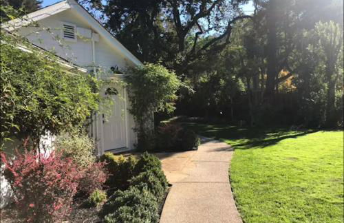 Hacienda Studio - Foto 3