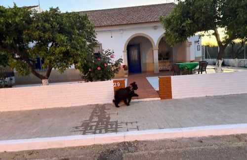 La Casa del Flamenco - Foto 75