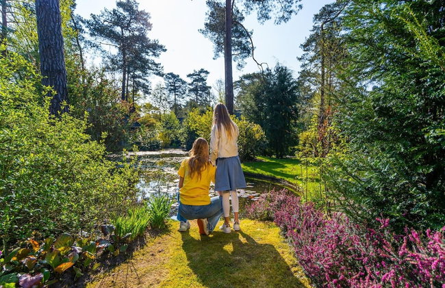 Holiday Home Suitable for Disabled People - Foto 16