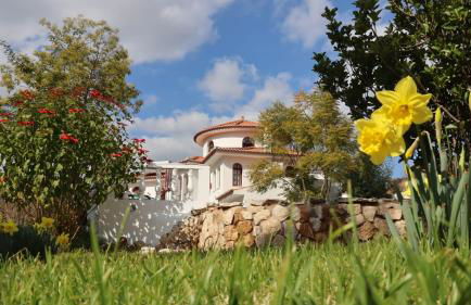 Quinta Da Mimosa - Foto 20