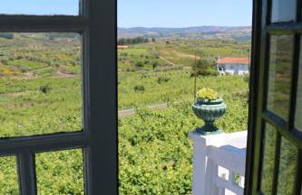 Solar dos Avós - Foto 38