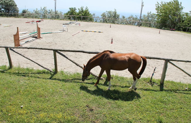 Agriturismo Piccolo Paradiso - Foto 79
