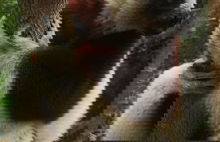 Room-the White-orange Bedroom With a ple - Foto 8