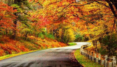 Relaxing 5-bedroom with indoor fireplace - Foto 3