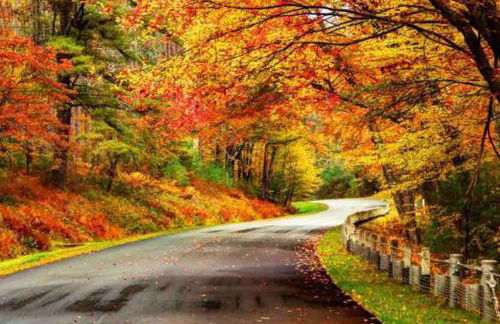 Relaxing 5-bedroom with indoor fireplace - Foto 3