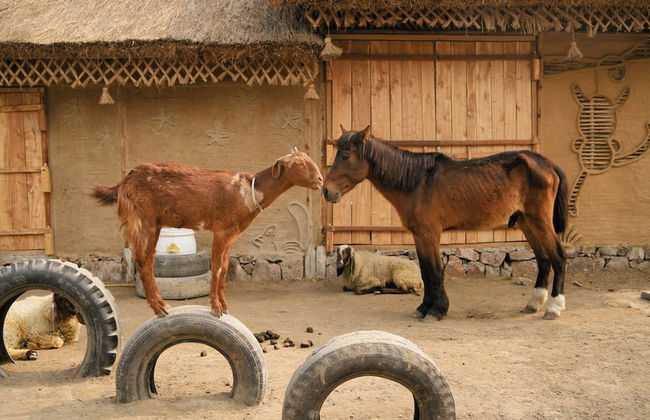 Tuk Tuk Gilhari Noida - Foto 64