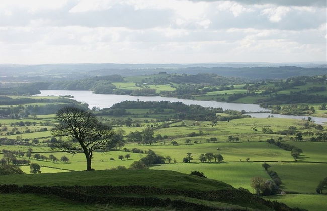 Roaches Cottages - Foto 15