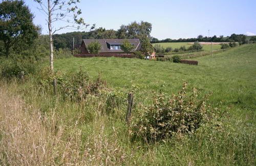 Ferienhof Jepsen - Foto 12