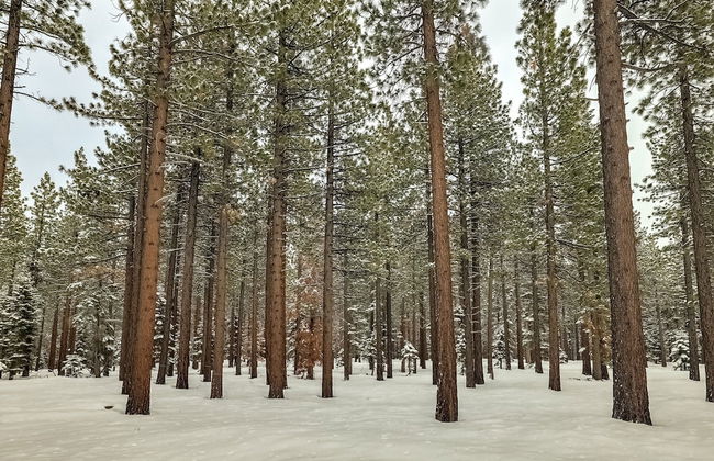 Cold Creek Chalet - Hot tub & Movie Room - Foto 28