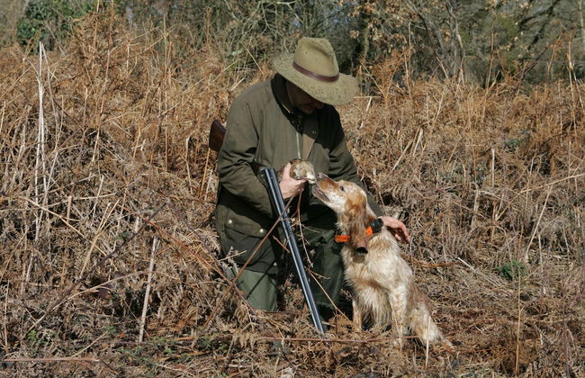 Historical Residence il Biribino 27 People - Foto 66