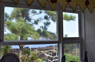 Casa do Avô Cristiano - Photo 11