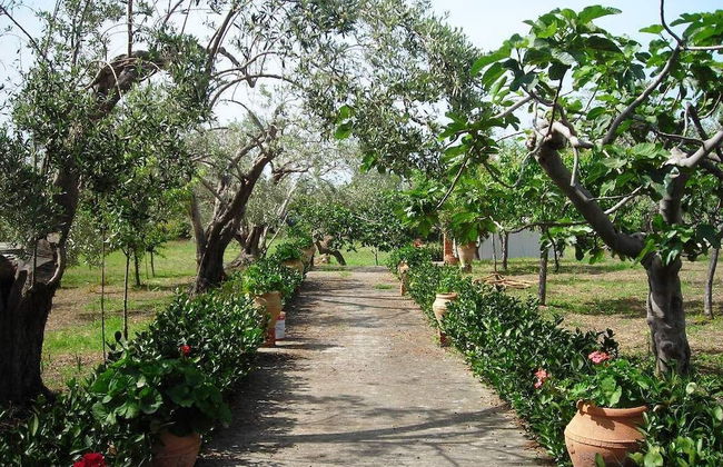 Il Giardino sul Mare - Foto 31