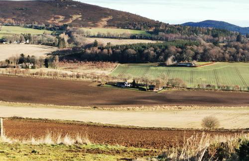 Private peacefull pet friendly converted country cottage - Foto 14