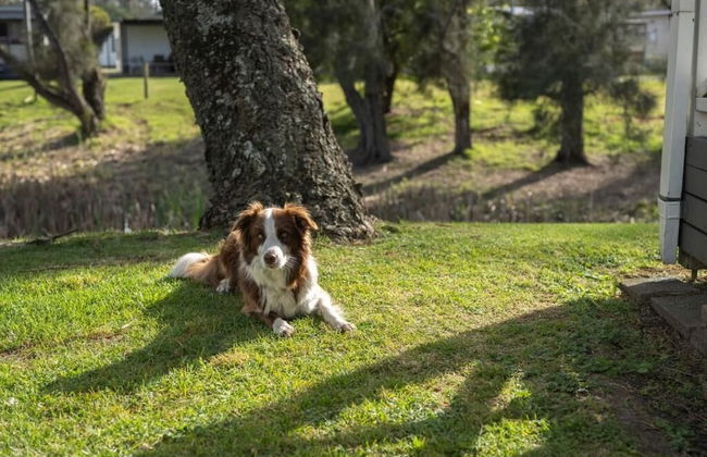 Barlings Beach Holiday Park - Foto 41