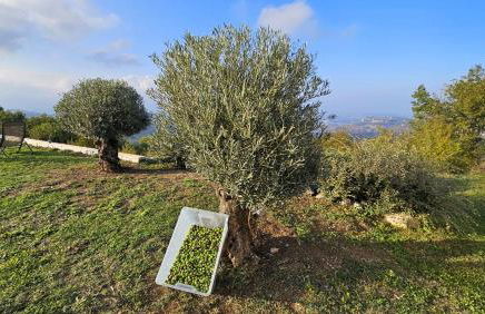 Casa dell’ Orso - Photo 50