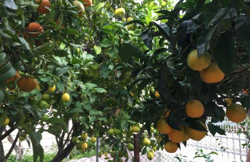 Best location in Vrachati - Photo 21