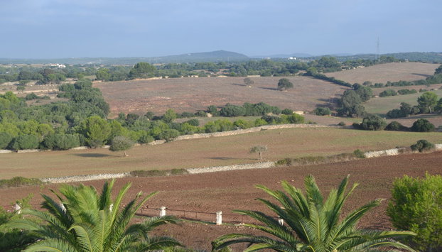 Son Triay - Foto 2