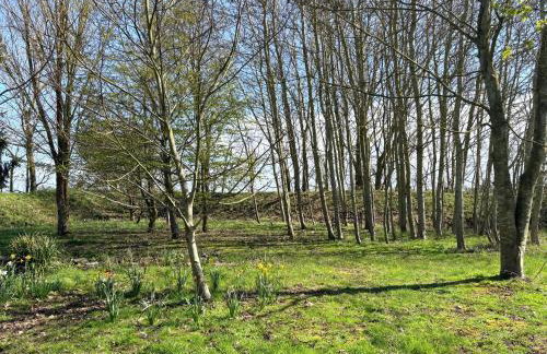 Peacock Barn - Photo 21