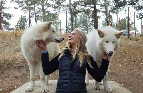 Modern A-frame w/ hot tub + view - Foto 60