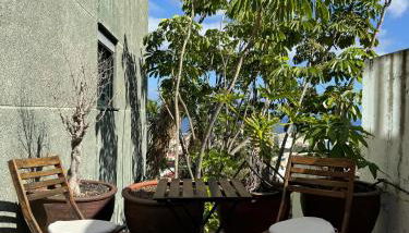 Apartamento céntrico con piscina - Foto 1