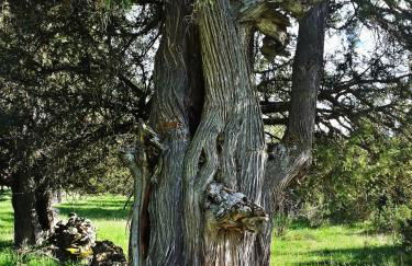 Dúplex con piscina climatizada y sauna, El último rincón - Foto 54