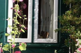 Kapitänsvilla - Foto 7