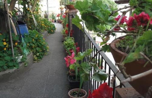 Le Mimose - Photo 71