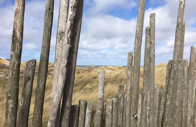 Bungalow in Texel Near De Slufter Reserve - Foto 5