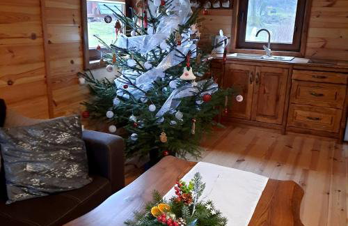 Domki pod Lipą. - Foto 38