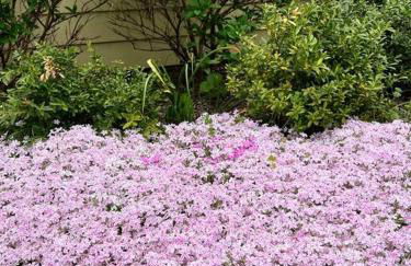 Vintage Charm: Annapolis Retreat - Foto 13