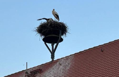 Ferienwohnung am Storchennest - Foto 59