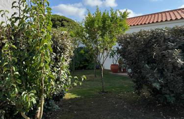 Casinha do Burro, Casas do Poente, Rogil, Aljezur - Photo 7