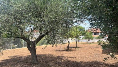 Casa Plati 2 - Foto 4