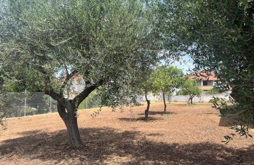 Casa Plati 1 - Foto 9