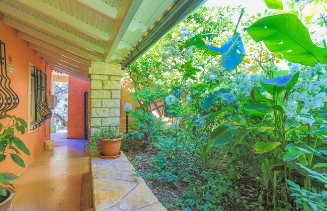 Villa Calypso in Nisaki - Photo 2