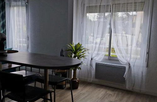 Chazy pres de la cité de l'espace - Foto 17