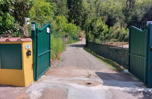 Villa la Pieve - Foto 60