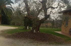 Agriturismo L'isola - Foto 32