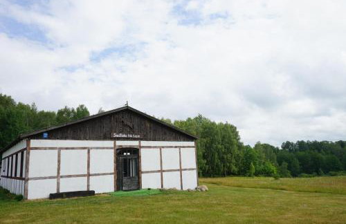 Siedlisko na łące - Foto 5