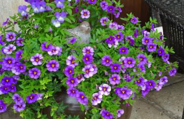 La Casona de Benito - Foto 25