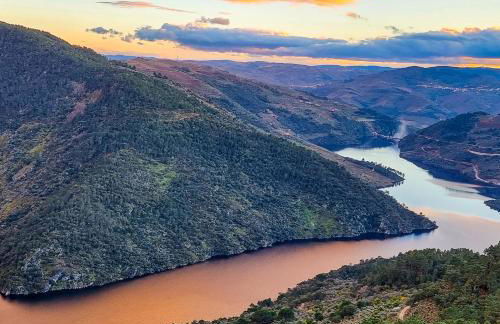 Casa da Oliveira - Foto 8