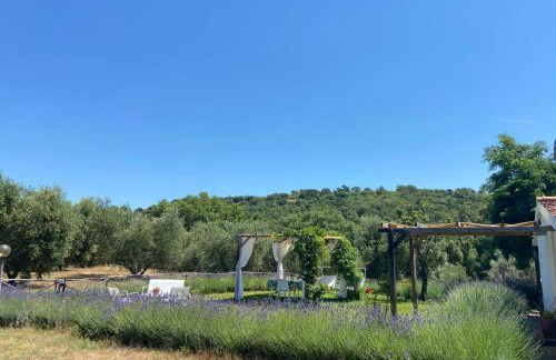 Tenuta Le Mandorlaie, Agriturismo in Scansano - Foto 51