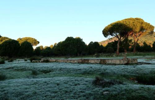 Casa Ypsilon Olive Oil - Photo 29