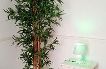 MAGNA GRECIA SEA HOME - Foto 17