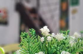 Lo Stazzo della Dottoressa - Foto 18