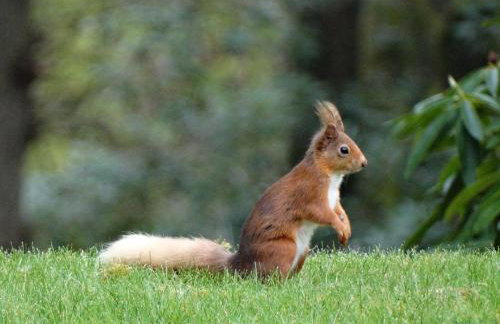 2 Bed in Kirriemuir 80719 - Foto 18