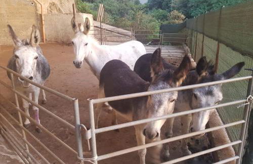 Holiday stay by Federica - Foto 54